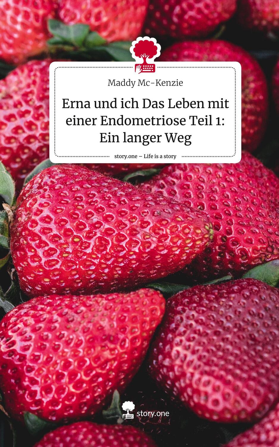 Cover: 9783711503220 | Erna und ich Das Leben mit einer Endometriose Teil 1: Ein langer...