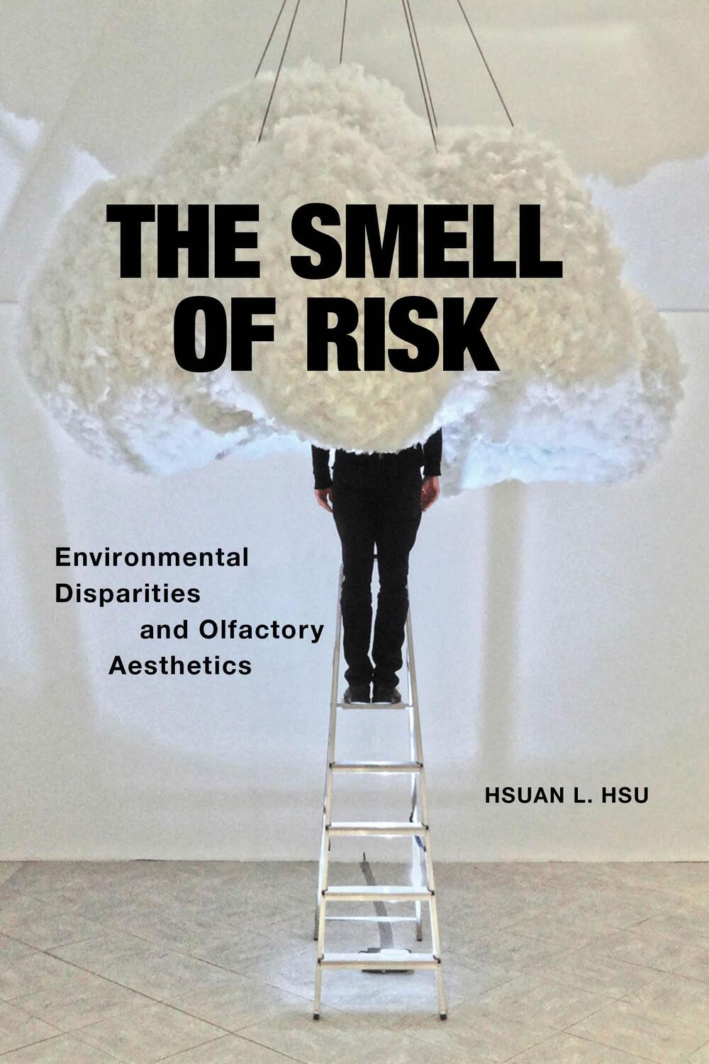 Cover: 9781479810093 | The Smell of Risk | Environmental Disparities and Olfactory Aesthetics