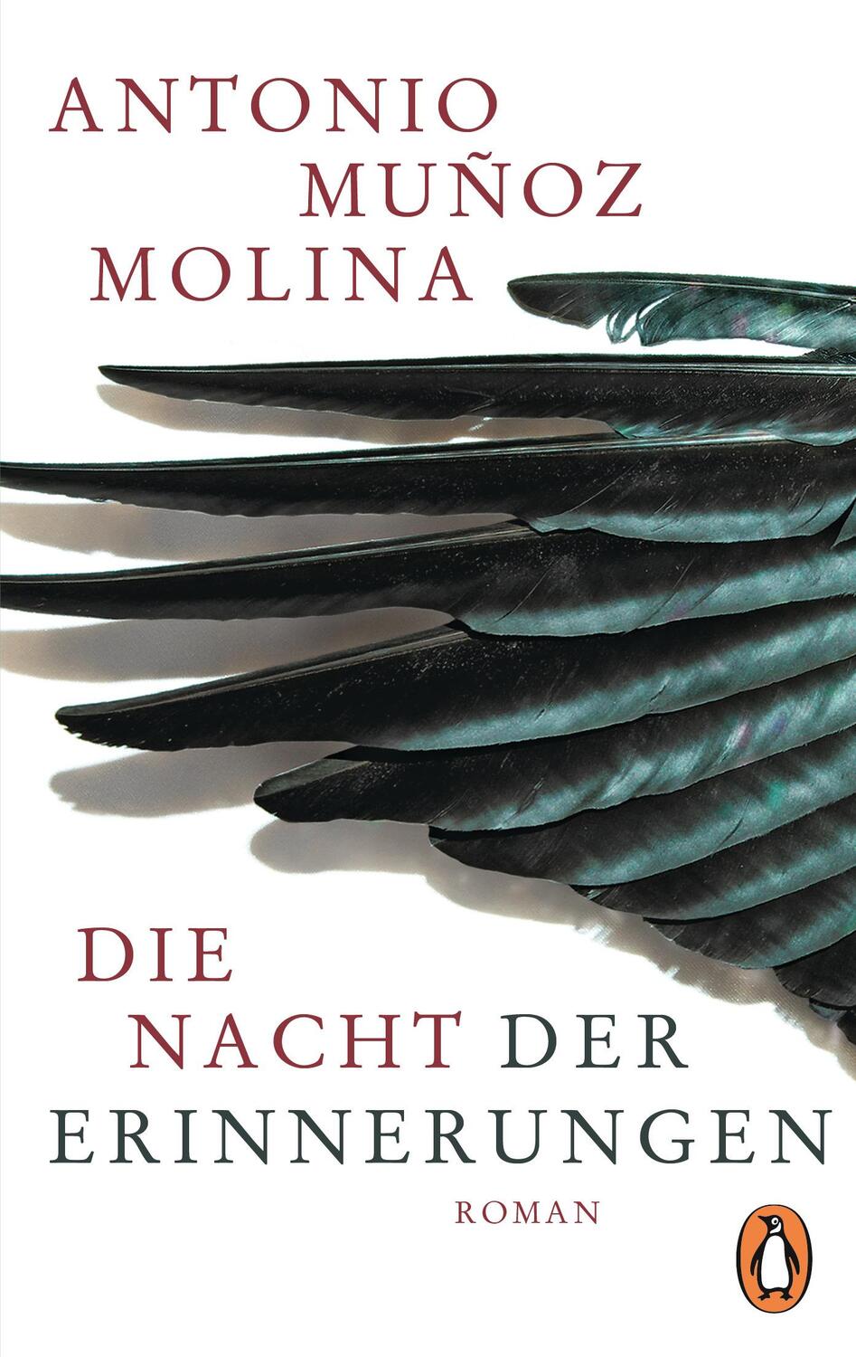 Cover: 9783328104469 | Die Nacht der Erinnerungen | Antonio Muñoz Molina | Taschenbuch | 2018