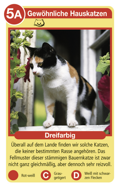 Bild: 4005556204212 | Ravensburger 20421 - Tierquartett Katzen, Klassiker für 3-6 Spieler...
