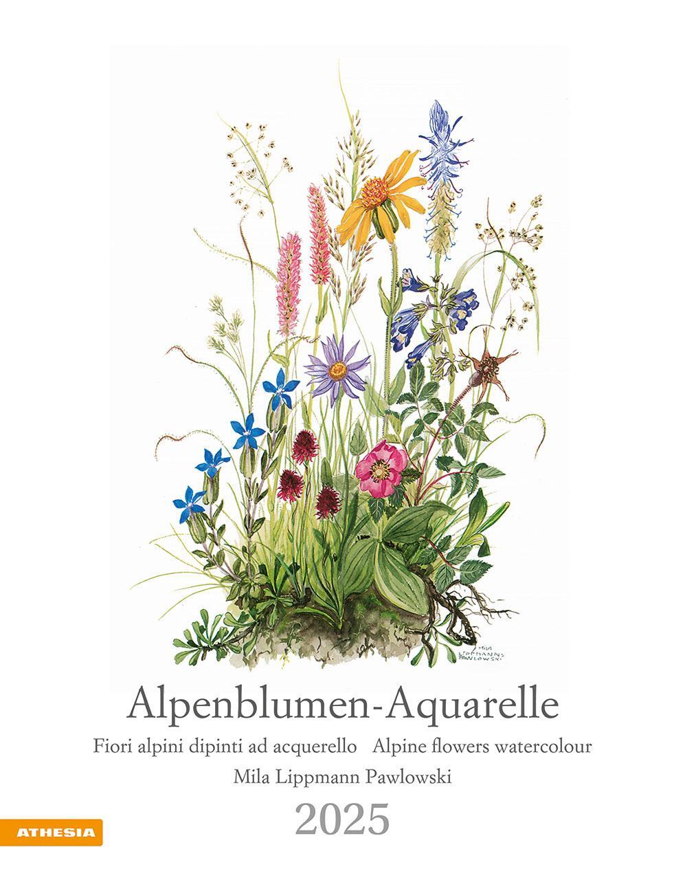 Cover: 9788868397432 | Alpenblumen-Aquarelle Kalender 2025 | Athesia-Tappeiner Verlag | 14 S.