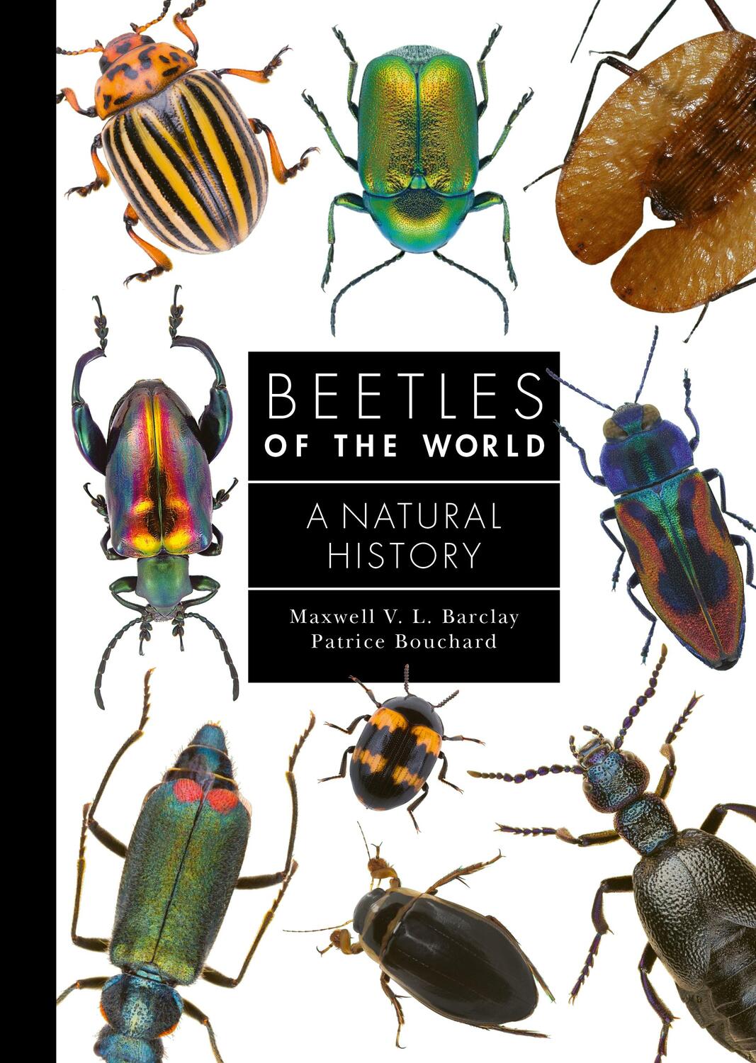 Cover: 9780691240732 | Beetles of the World | A Natural History | Barclay (u. a.) | Buch