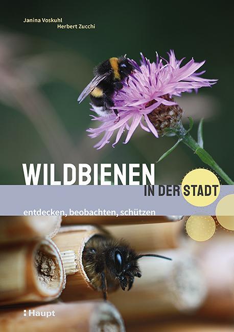 Cover: 9783258081953 | Wildbienen in der Stadt | entdecken, beobachten, schützen | Buch