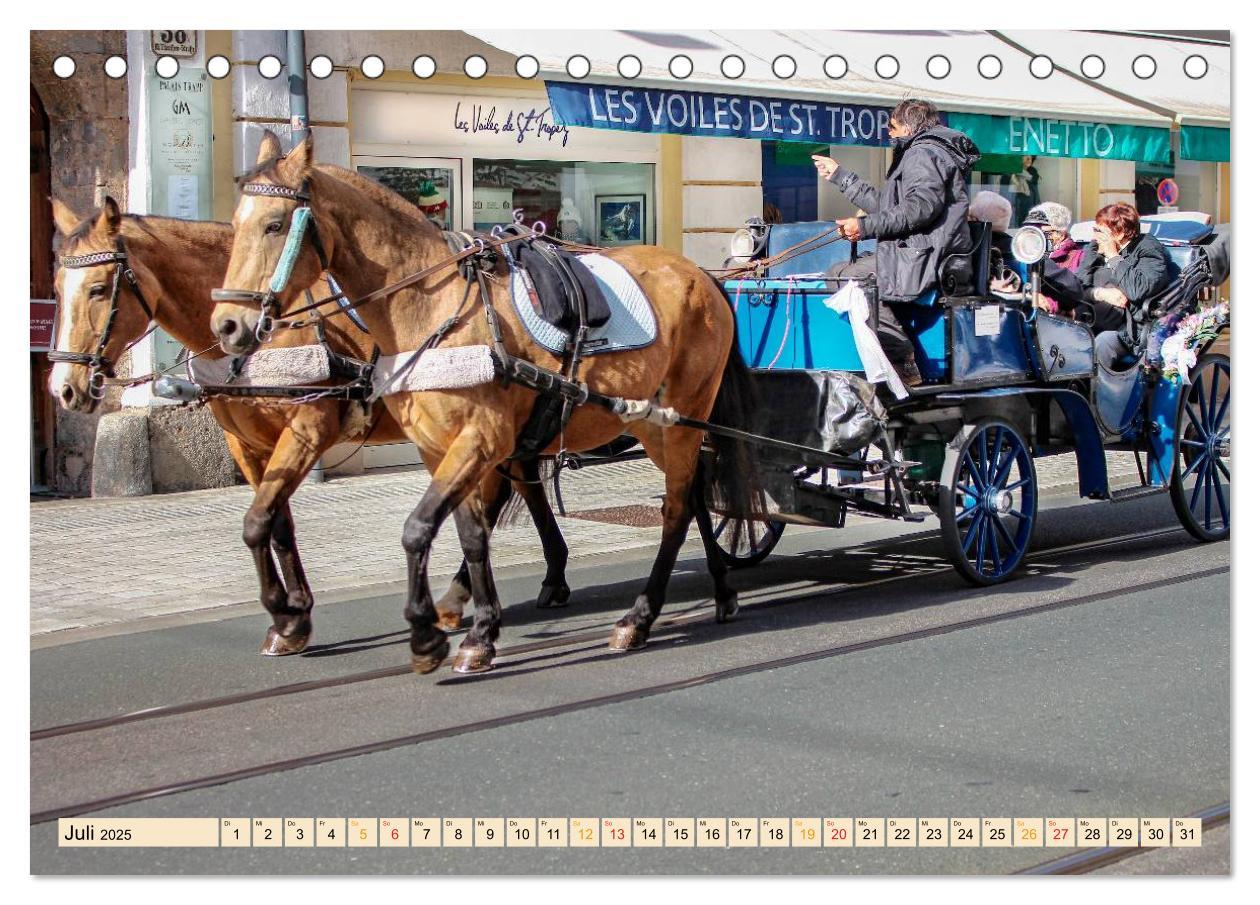 Bild: 9783435495061 | Pferdekutschen - Vorgänger des Automobils (Tischkalender 2025 DIN...