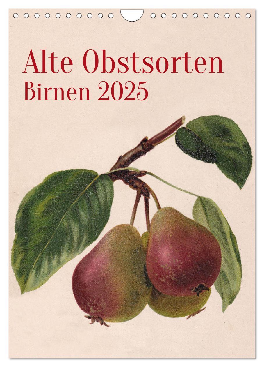 Cover: 9783435851669 | Alte Obstsorten - Birnen 2025 (Wandkalender 2025 DIN A4 hoch),...