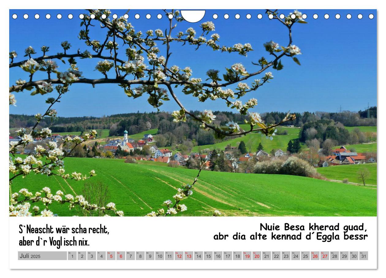 Bild: 9783383848568 | Schwäbische Sprichwörter 1 Wi ma hald so said! (Wandkalender 2025...