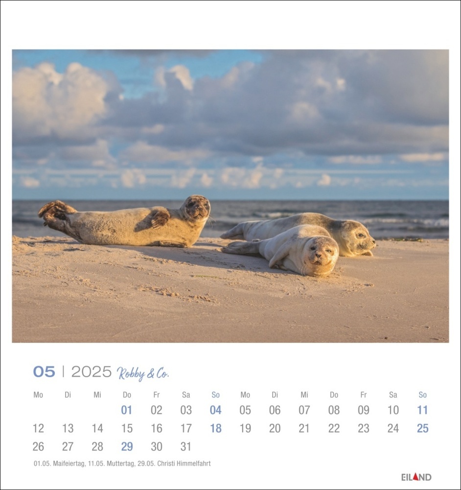 Bild: 9783964023322 | Robby &amp; Co. Postkartenkalender 2025 | Kalender | Spiralbindung | 13 S.