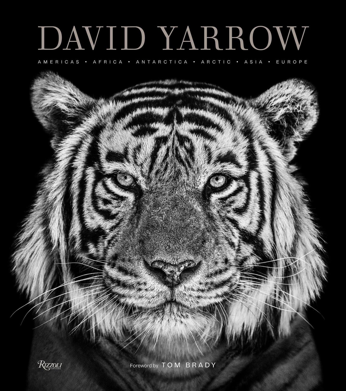 Cover: 9780847864775 | David Yarrow Photography: Americas Africa Antarctica Arctic Asia...
