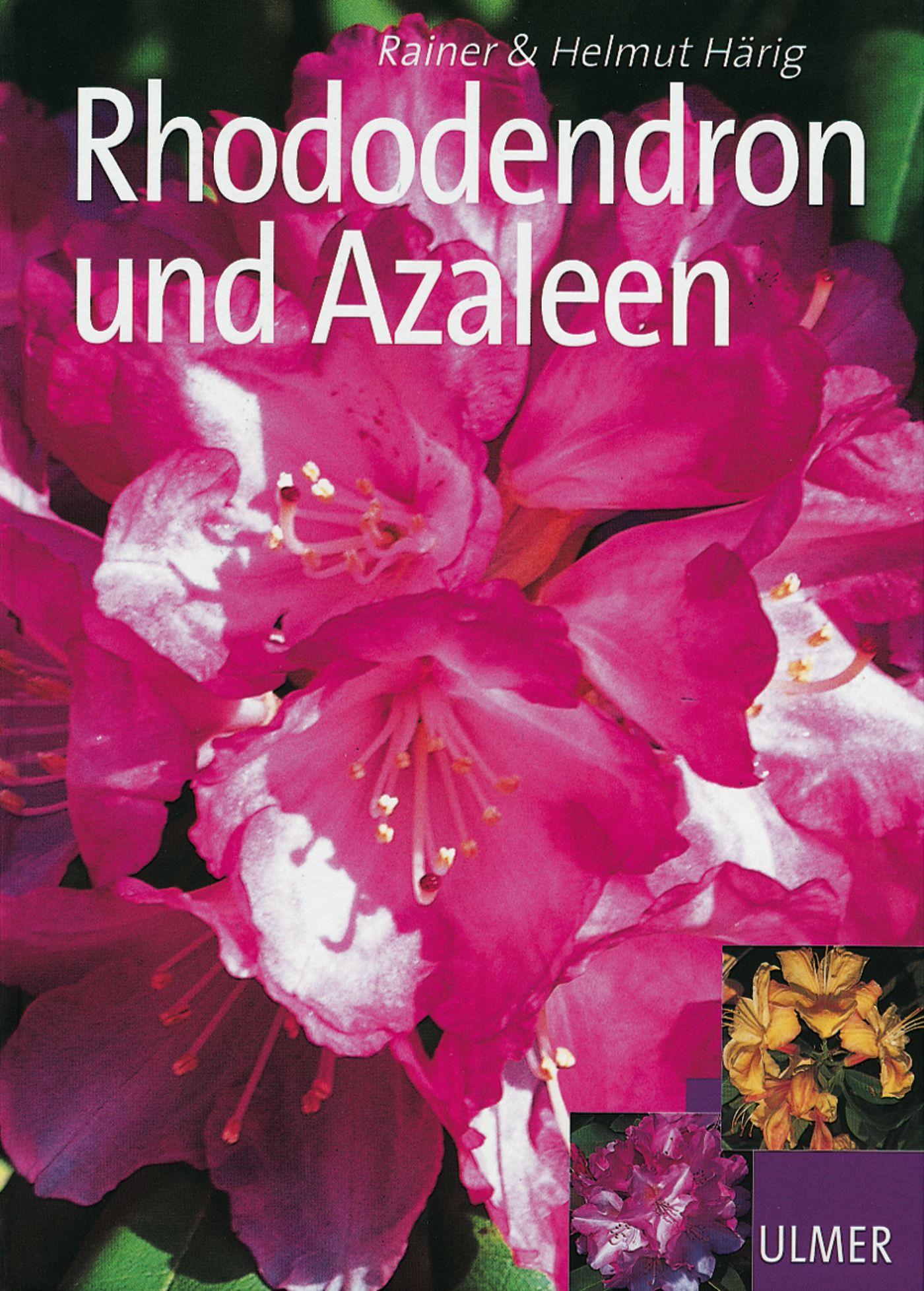 Cover: 9783800146833 | Rhododendron und Azaleen | Helmut Härig (u. a.) | Buch | 112 S. | 2004