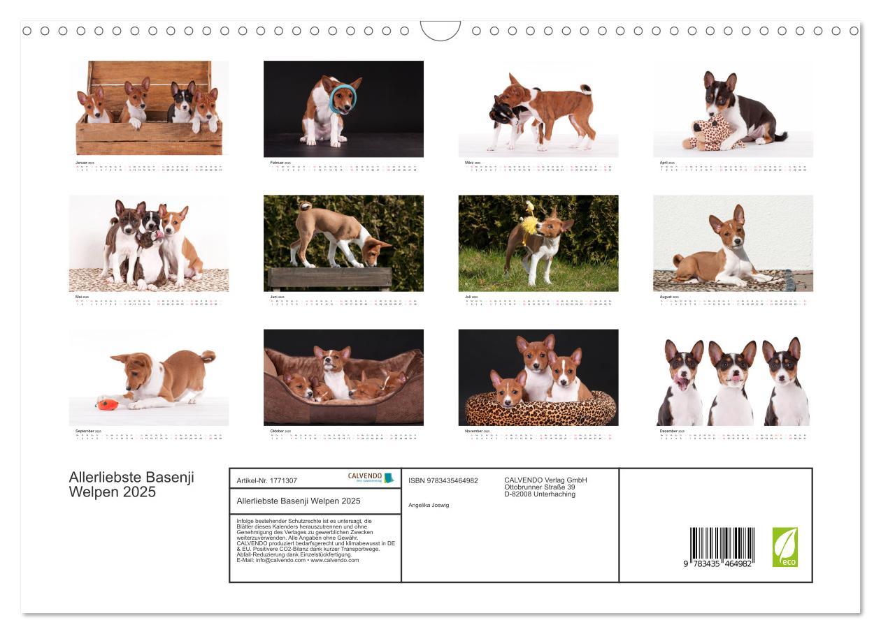 Bild: 9783435464982 | Allerliebste Basenji Welpen 2025 (Wandkalender 2025 DIN A3 quer),...