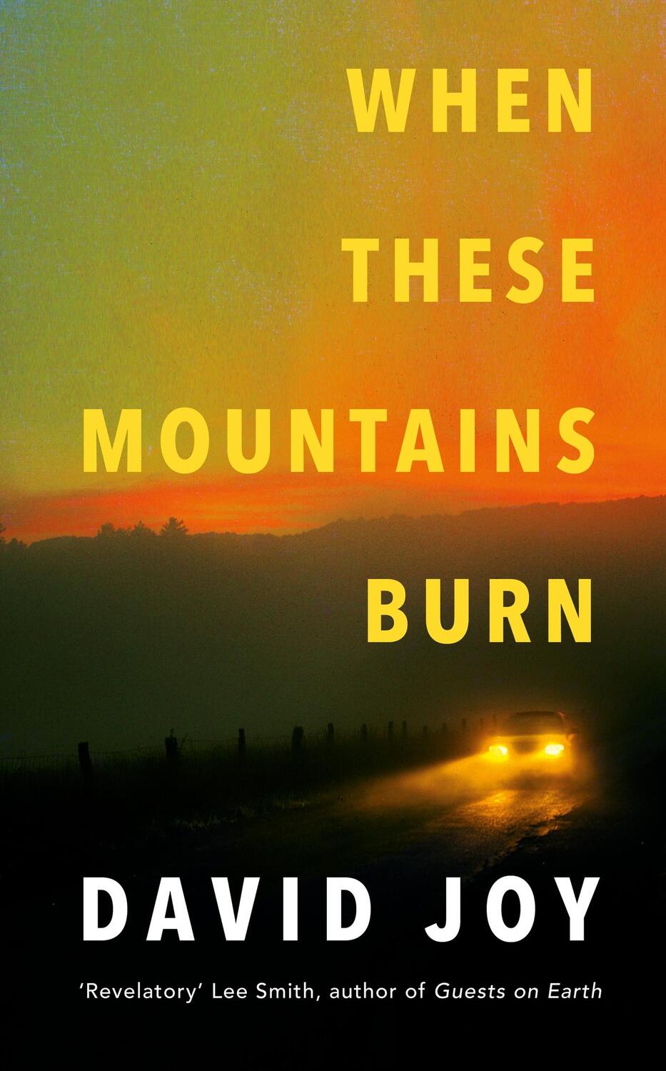 Cover: 9780233006390 | When These Mountains Burn | David Joy | Buch | Gebunden | Englisch