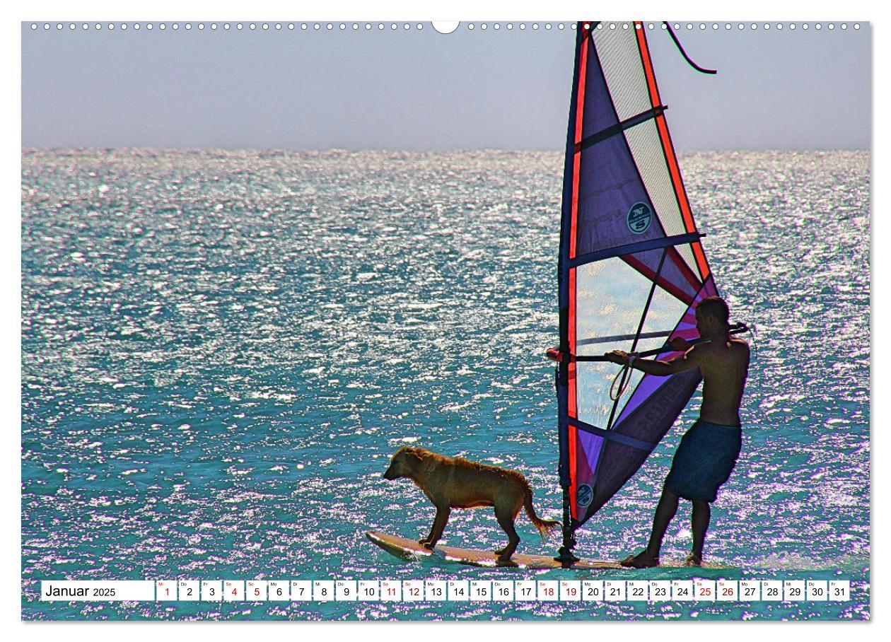 Bild: 9783383923517 | Funsport Windsurfen (Wandkalender 2025 DIN A2 quer), CALVENDO...