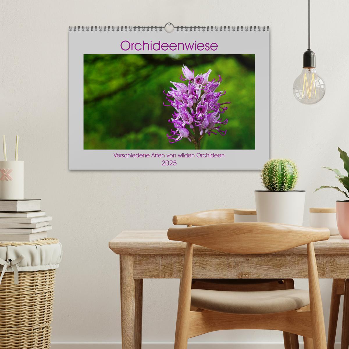 Bild: 9783435536528 | Orchideenwiese 2025 (Wandkalender 2025 DIN A3 quer), CALVENDO...