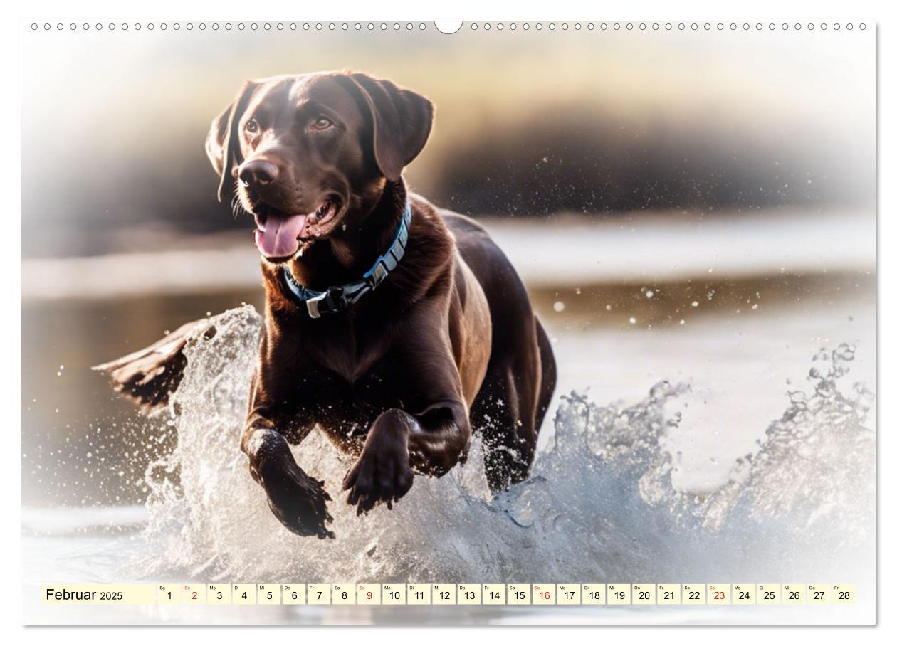 Bild: 9783435372348 | Rasseportraits - Hunde (hochwertiger Premium Wandkalender 2025 DIN...