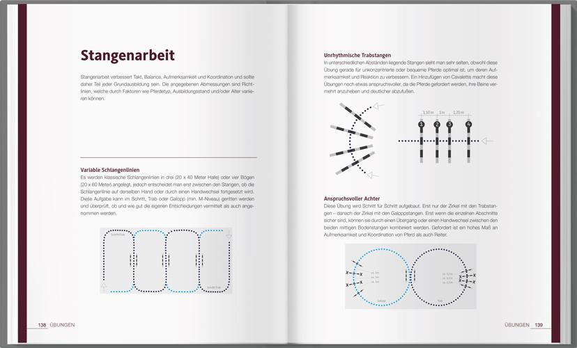 Bild: 9783784356693 | Reiten - leicht &amp; logisch | Michael Fischer | Buch | 144 S. | Deutsch