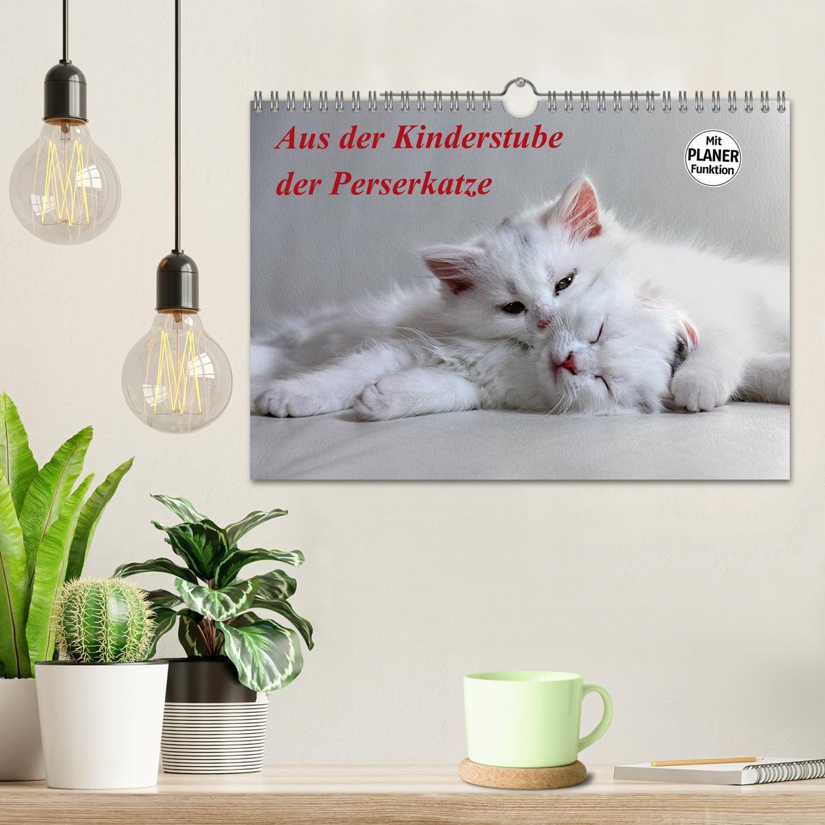 Bild: 9783435555758 | Aus der Kinderstube der Perserkatze (Wandkalender 2025 DIN A4...