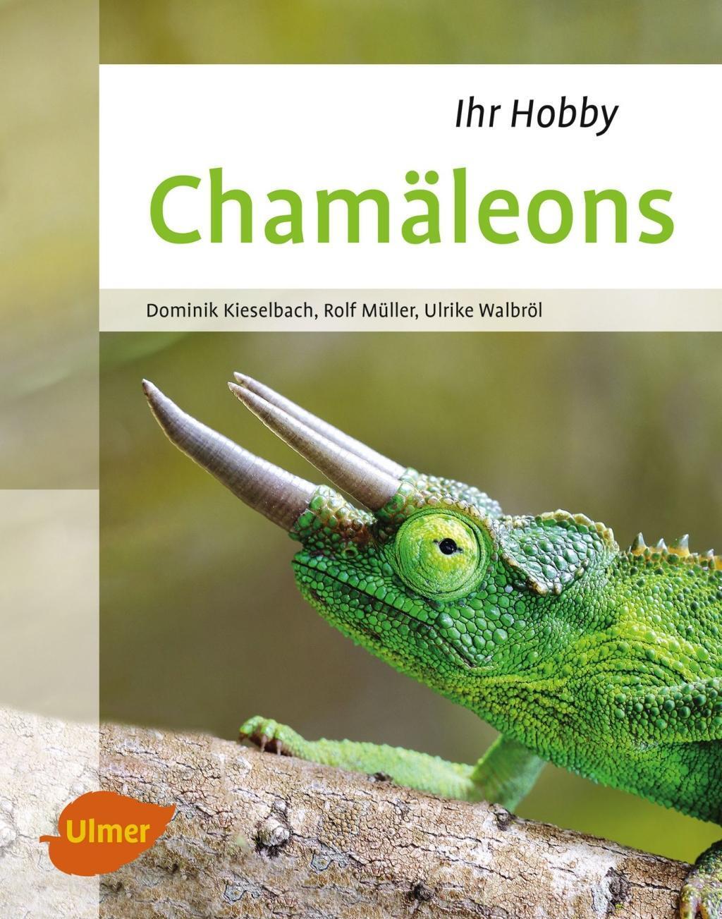 Cover: 9783800103959 | Chamäleons | Dominik Kieselbach (u. a.) | Buch | Deutsch | 2017