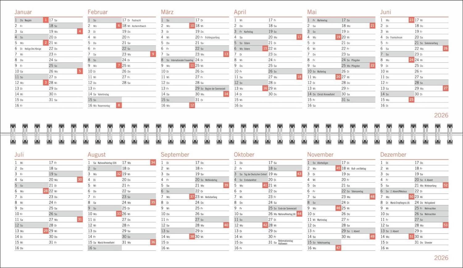 Bild: 9783756406531 | sheepworld Wochenquerplaner 2025 | Heye | Kalender | Spiralbindung