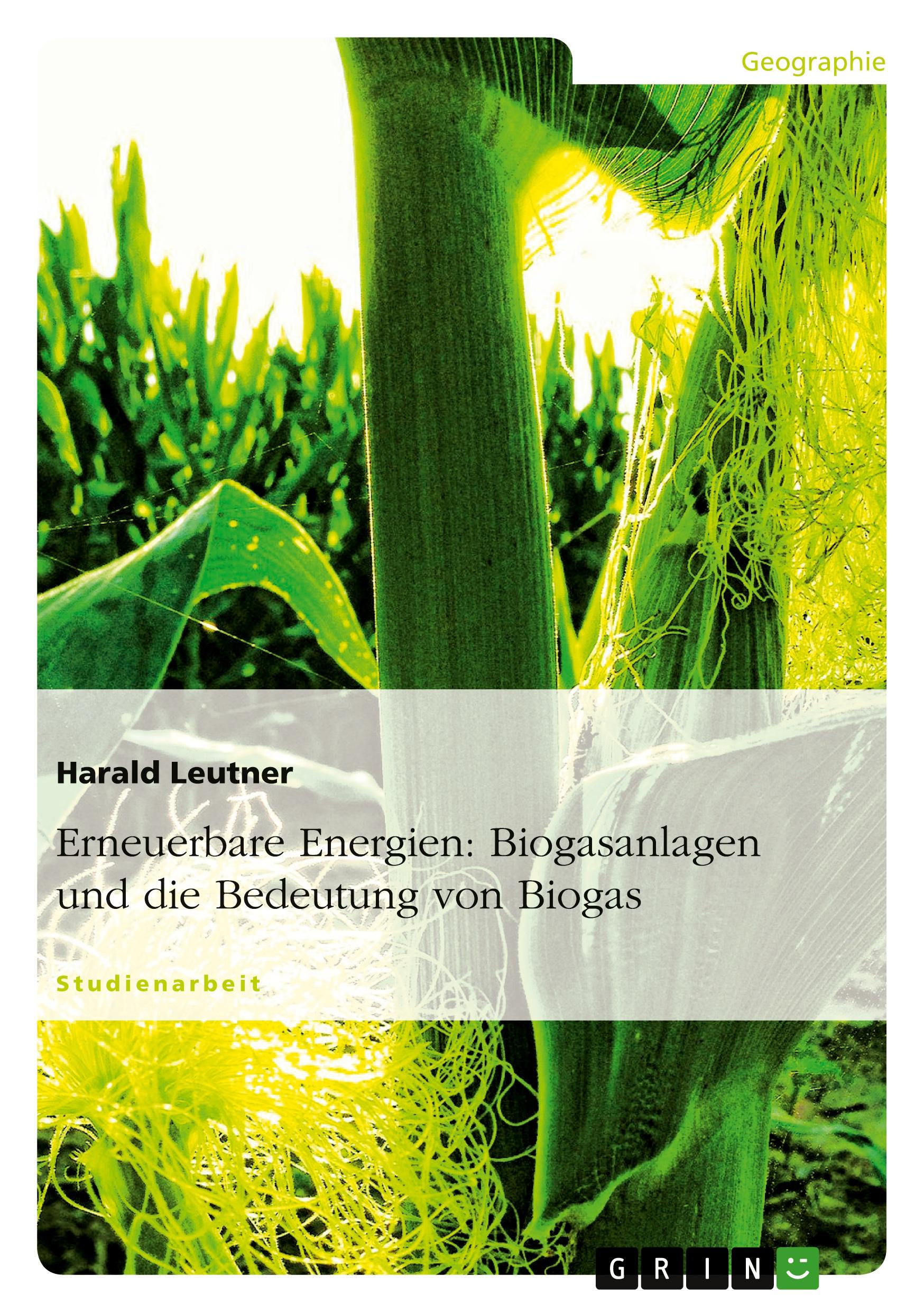 Cover: 9783640589883 | Erneuerbare Energien: Biogasanlagen und die Bedeutung von Biogas