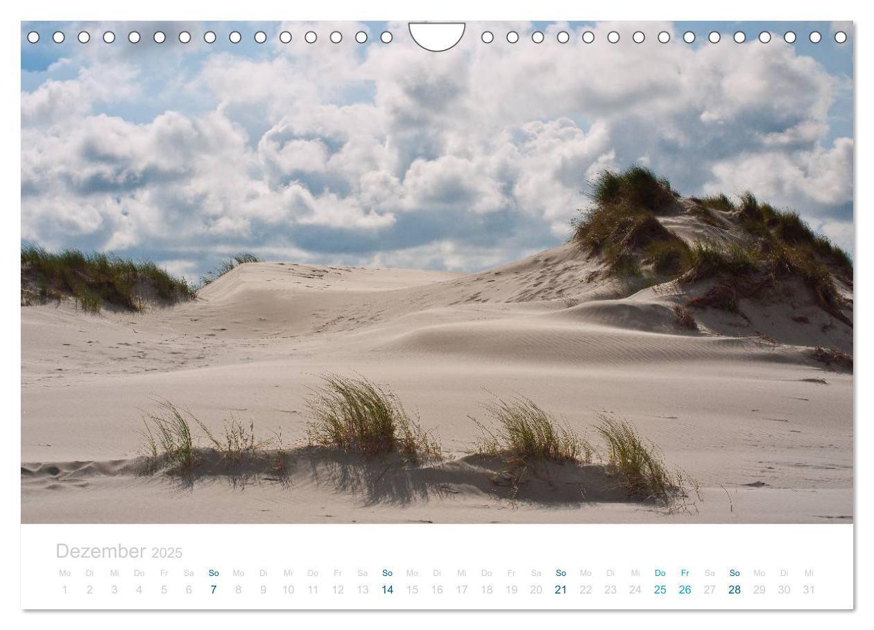 Bild: 9783435817139 | Ameland (Wandkalender 2025 DIN A4 quer), CALVENDO Monatskalender