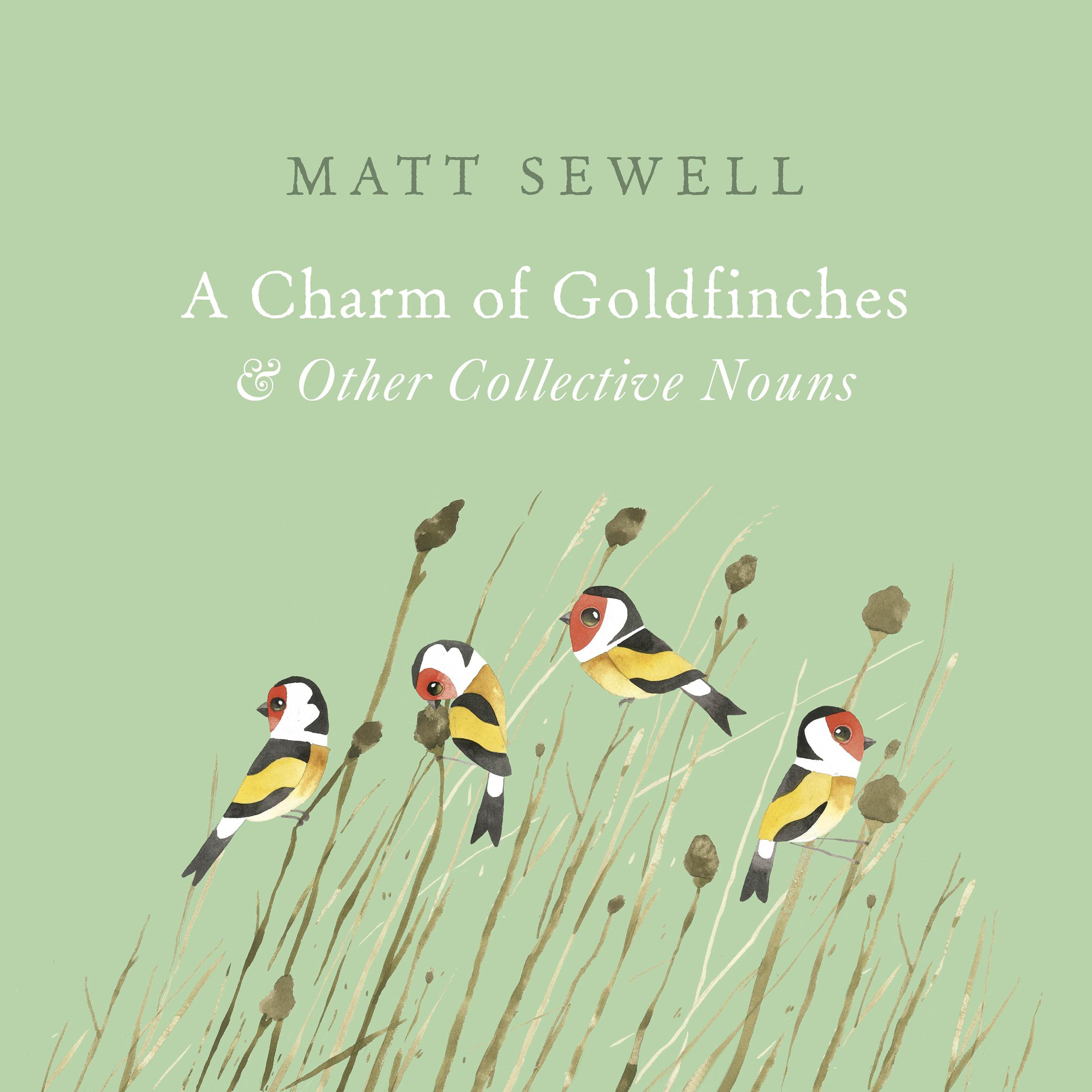 Cover: 9781785033889 | A Charm of Goldfinches and Other Collective Nouns | Matt Sewell | Buch