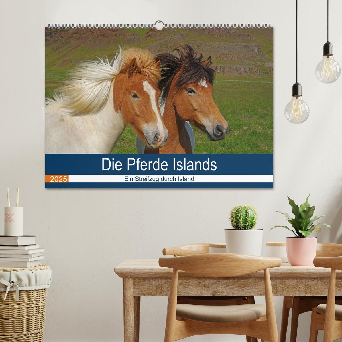 Bild: 9783435613274 | Die Pferde Islands - Ein Streifzug durch Island (Wandkalender 2025...