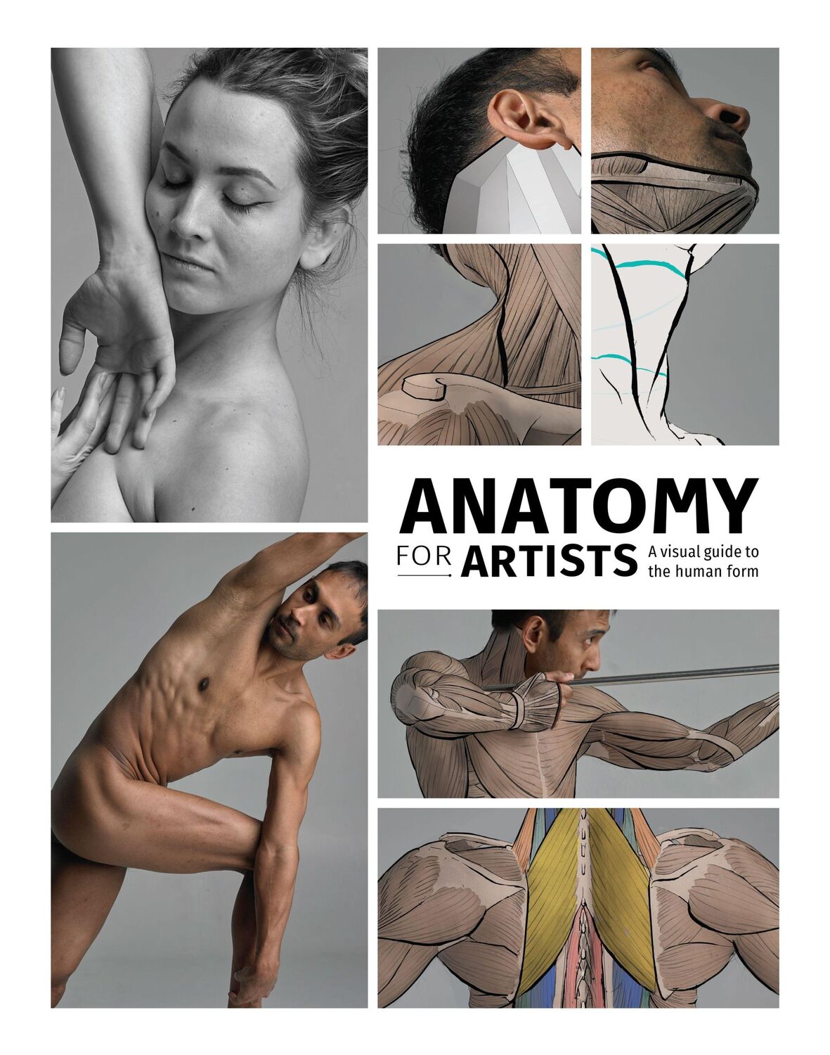 Cover: 9781912843107 | Anatomy for Artists | A visual guide to the human form | Publishing