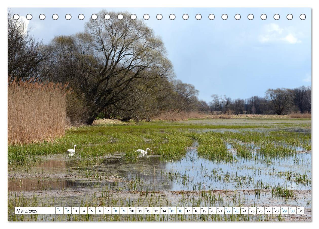 Bild: 9783435369904 | Land Brandenburg - Natur und Erholung im märkischen Land...