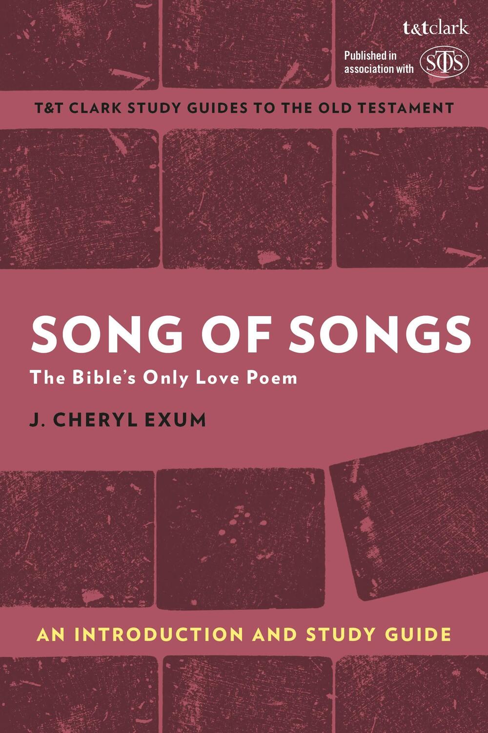 Cover: 9780567674715 | Song of Songs: An Introduction and Study Guide | Exum | Taschenbuch