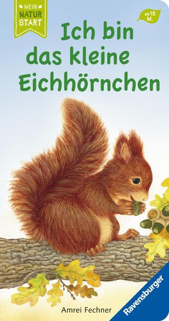 Cover: 9783473410668 | Ich bin das kleine Eichhörnchen | Amrei Fechner | Buch | Naturstart