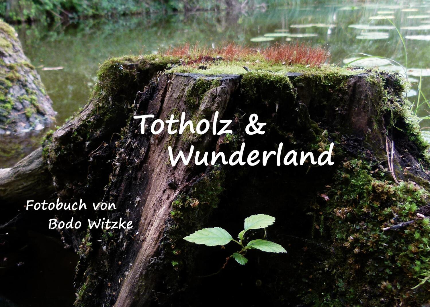 Cover: 9783753425207 | Totholz &amp; Wunderland | Bodo Witzke | Taschenbuch | Paperback | 68 S.