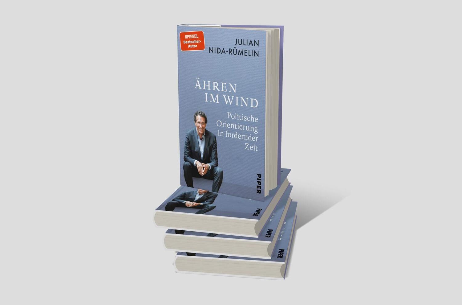 Bild: 9783492072939 | Ähren im Wind | Politische Orientierung in fordernder Zeit | Buch