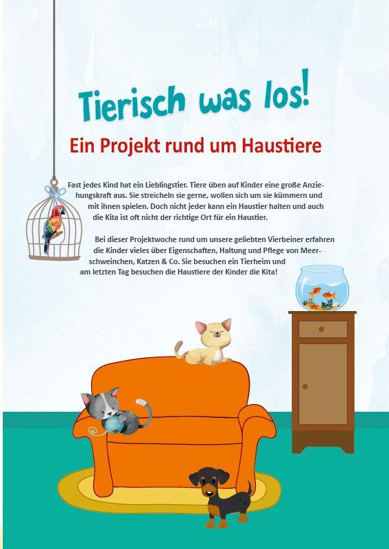 Bild: 9783960460695 | Muss ein Pony eigentlich zum Friseur? | Taschenbuch | Wochenprojekte