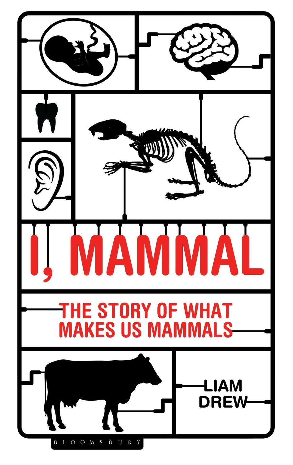Cover: 9781472922915 | I, Mammal | The Story of What Makes Us Mammals | Liam Drew | Buch