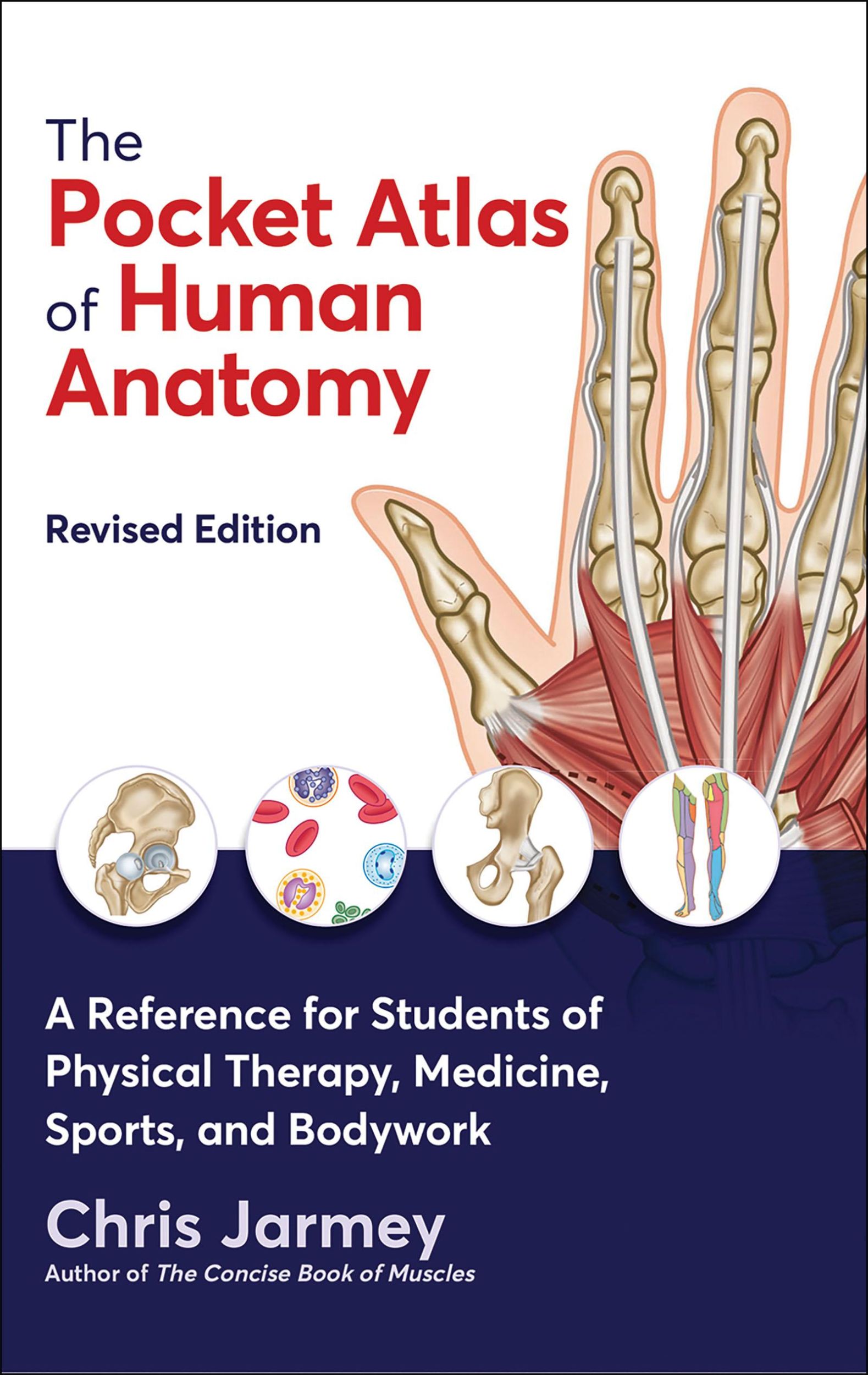 Cover: 9781913088316 | The Pocket Atlas of Human Anatomy | Chris Jarmey | Taschenbuch | 2022