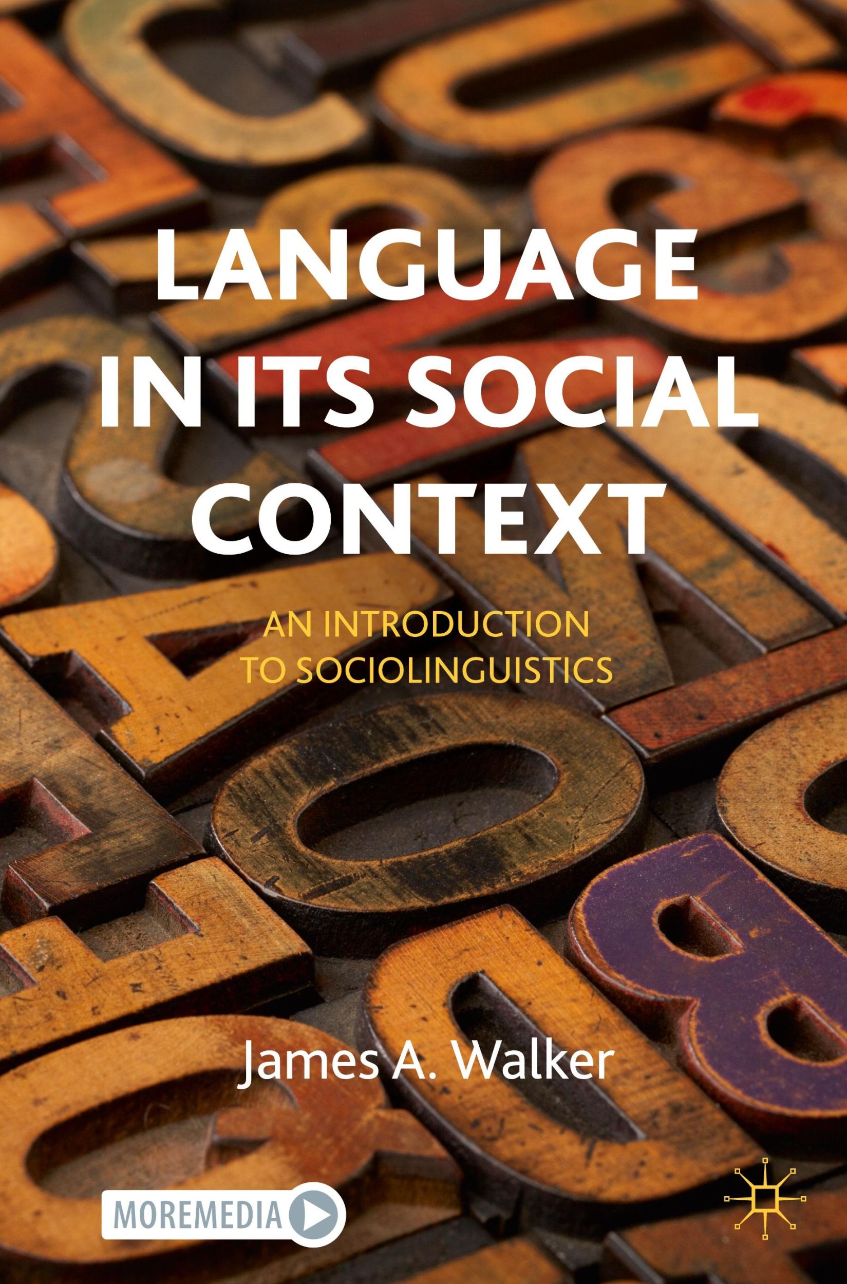 Cover: 9783031425219 | Language in its Social Context | An Introduction to Sociolinguistics