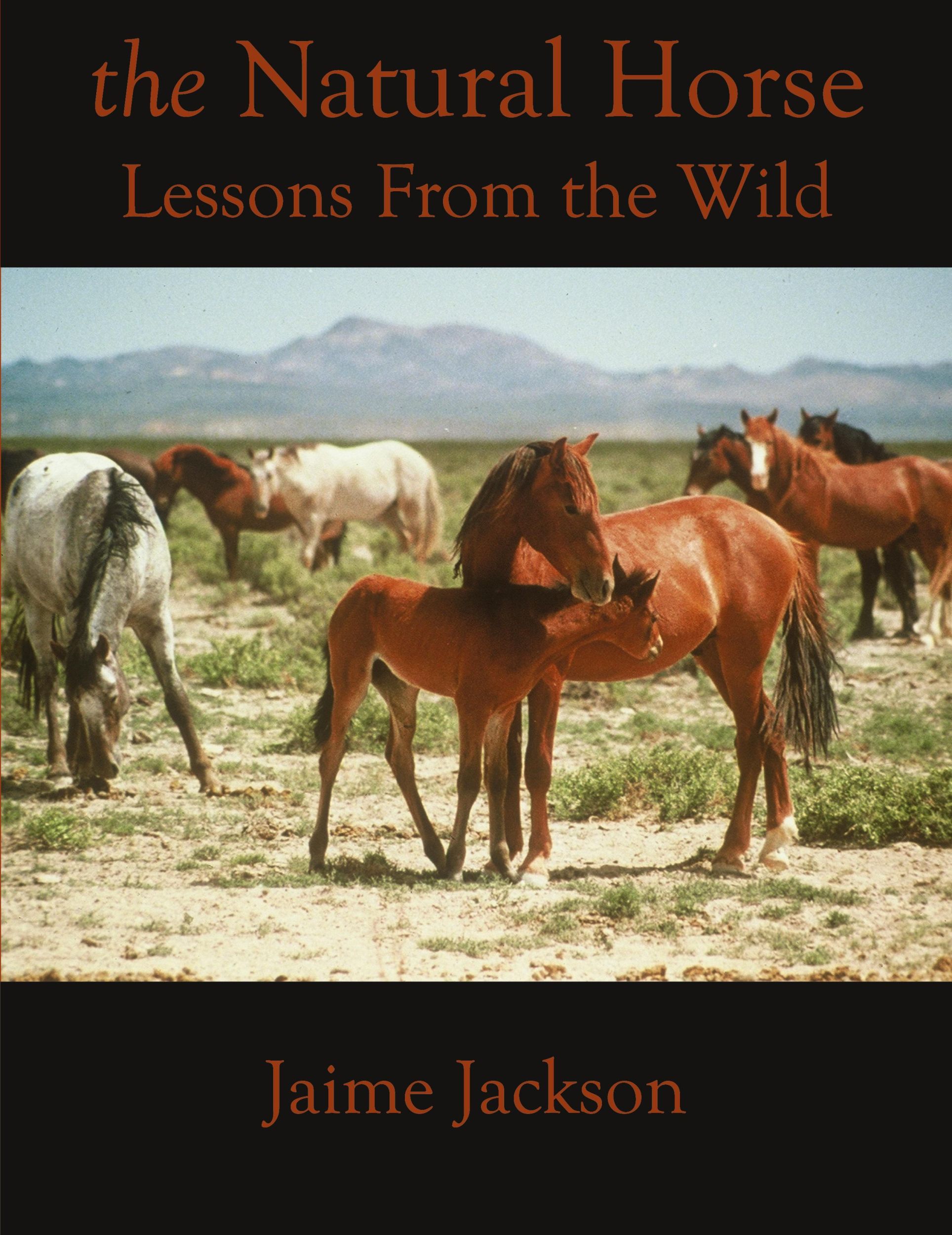 Cover: 9780578728001 | The Natural Horse | Lessons From the Wild | Jaime Jackson | Buch