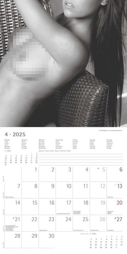 Bild: 4251732340988 | Alpha Edition - Feminine 2025 Broschürenkalender, 30x30cm,...