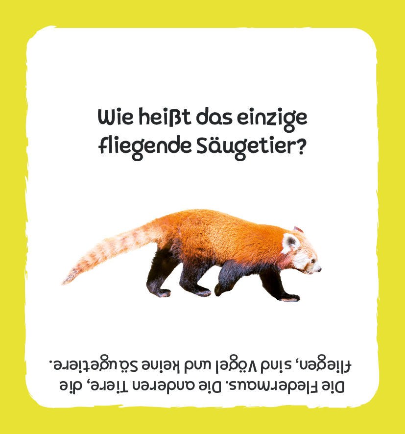 Bild: 4260478342415 | Kartenbox: Das große Quiz - Tiere | Aurore Meyer | Spiel | 250 S.