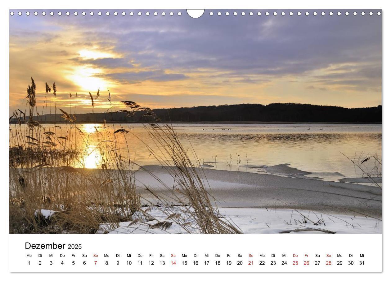 Bild: 9783435837274 | Insel Rügen (Wandkalender 2025 DIN A3 quer), CALVENDO Monatskalender