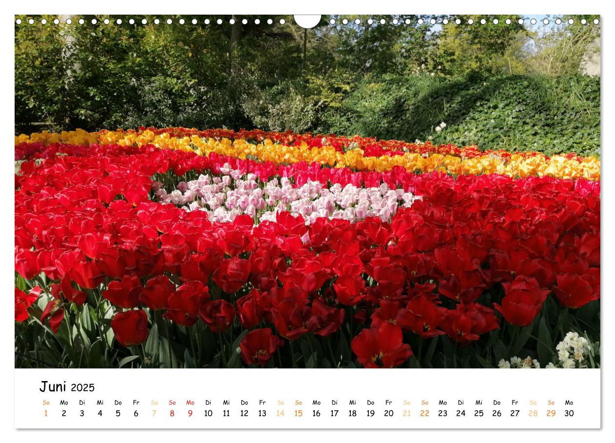 Bild: 9783383924354 | Auf Tour im Land der Tulpen (Wandkalender 2025 DIN A3 quer),...