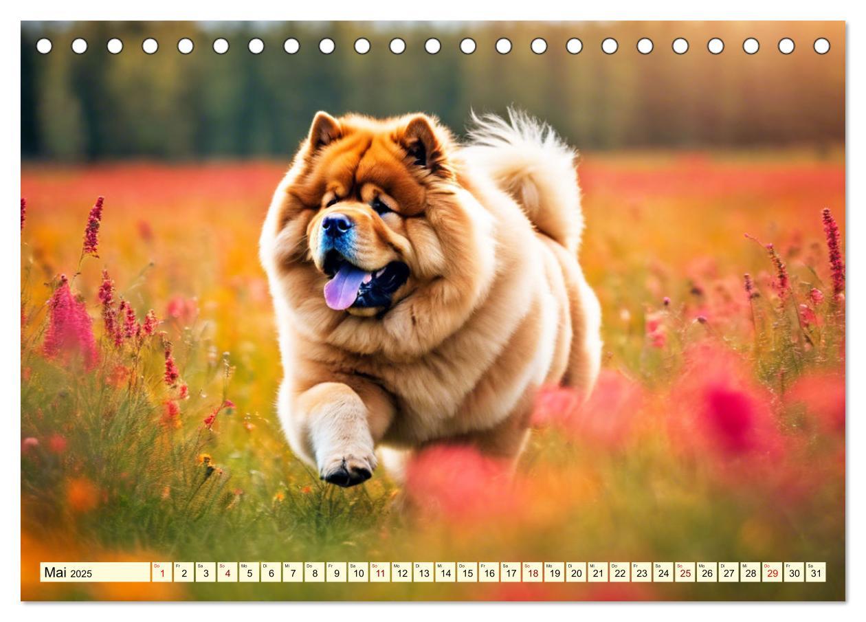 Bild: 9783457036945 | Chow Chow - der Löwenkopfhund (Tischkalender 2025 DIN A5 quer),...