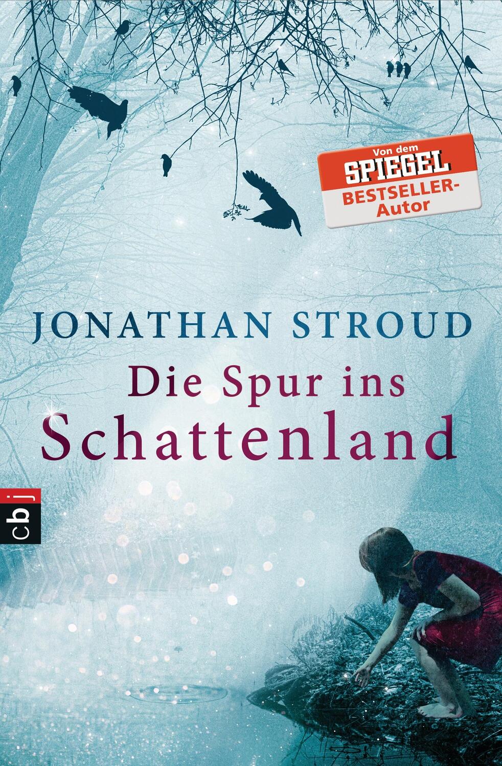 Cover: 9783570225974 | Die Spur ins Schattenland | Jonathan Stroud | Taschenbuch | Deutsch