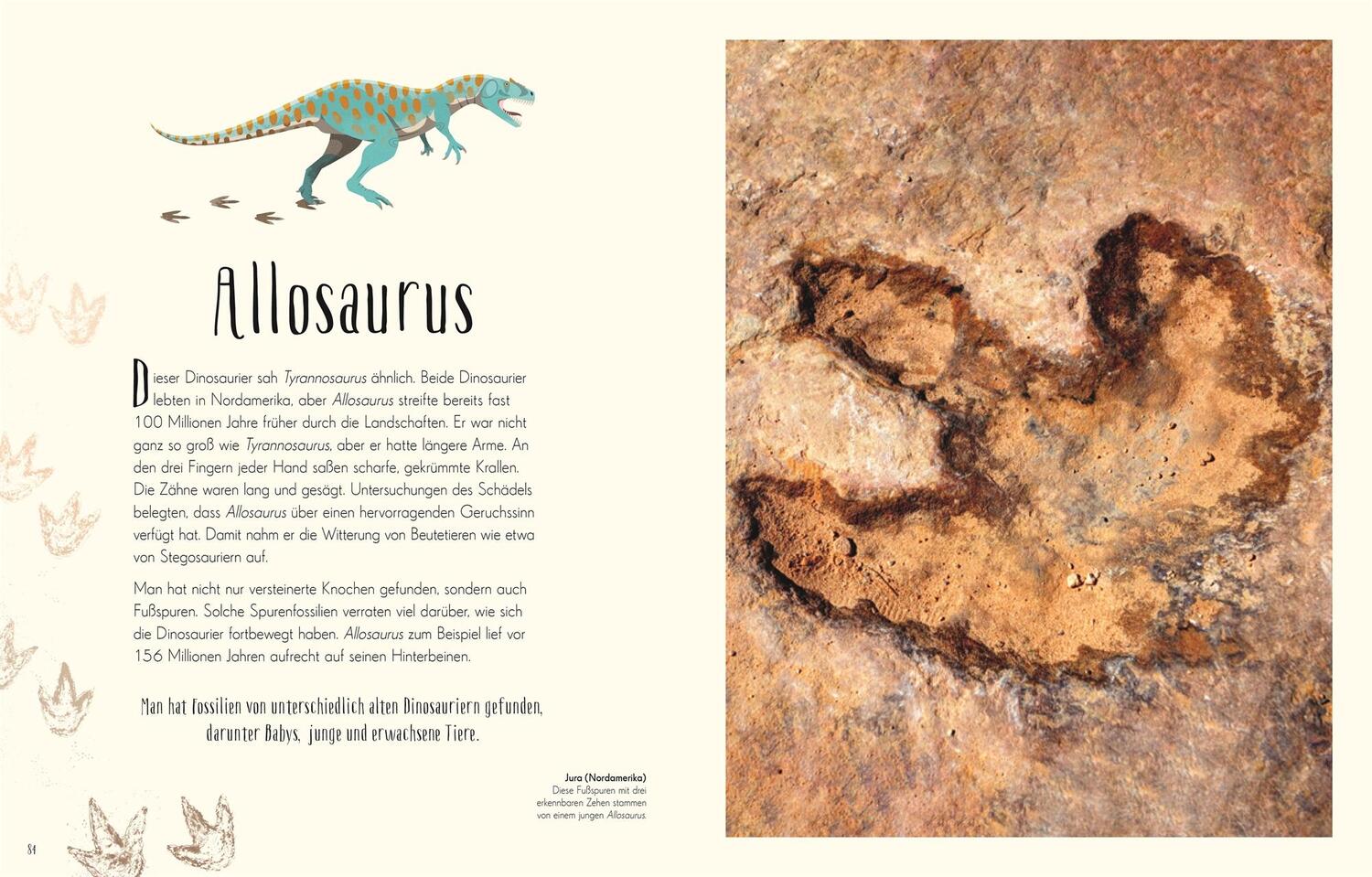 Bild: 9783831045037 | Wundervolle Welt der Dinosaurier und der Urzeit | Chinsamy-Turan