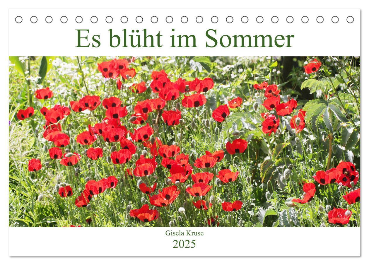 Cover: 9783435222032 | Es blüht im Sommer (Tischkalender 2025 DIN A5 quer), CALVENDO...