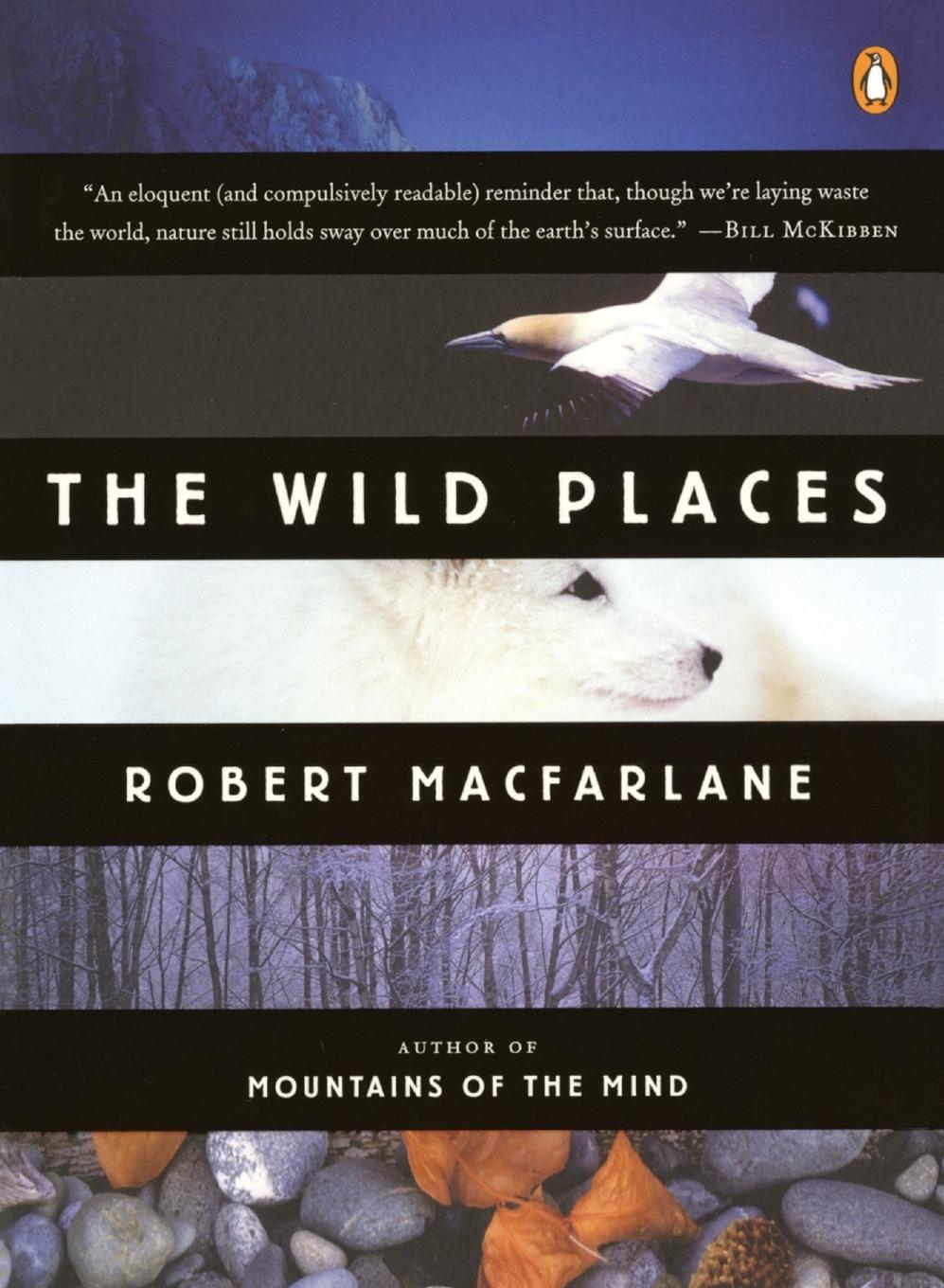 Cover: 9780143113935 | The Wild Places | Robert Macfarlane | Taschenbuch | Englisch | 2008