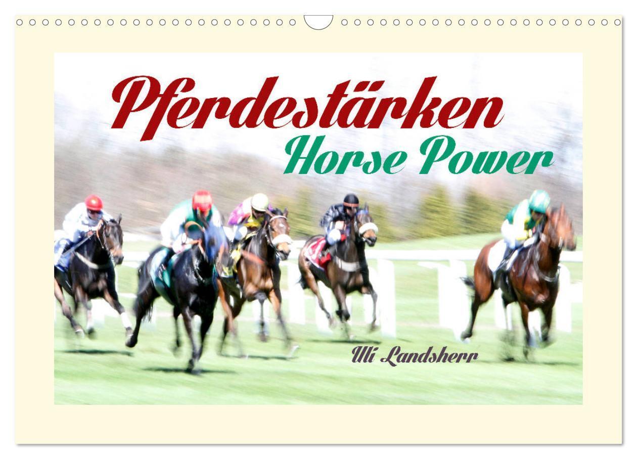 Cover: 9783383147463 | Pferdestärken Horse Power (Wandkalender 2024 DIN A3 quer), CALVENDO...
