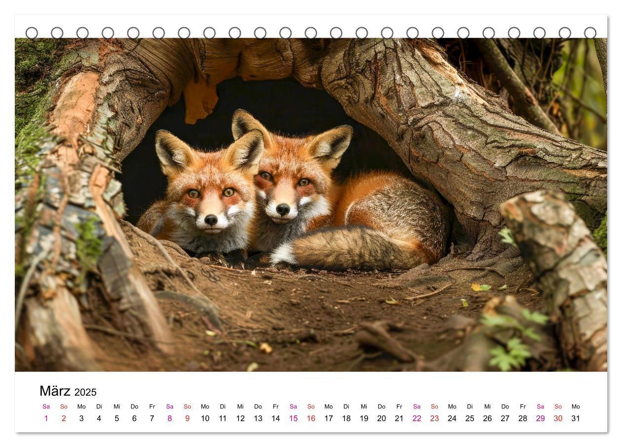 Bild: 9783383815324 | Fuchs - schöne Momente (Tischkalender 2025 DIN A5 quer), CALVENDO...