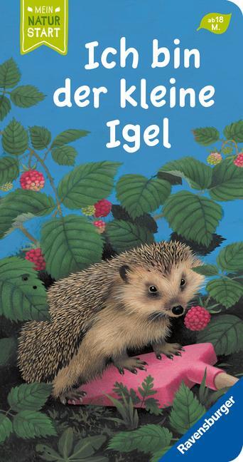 Cover: 9783473418435 | Ich bin der kleine Igel | Gisela Stottele | Buch | Naturstart | 16 S.