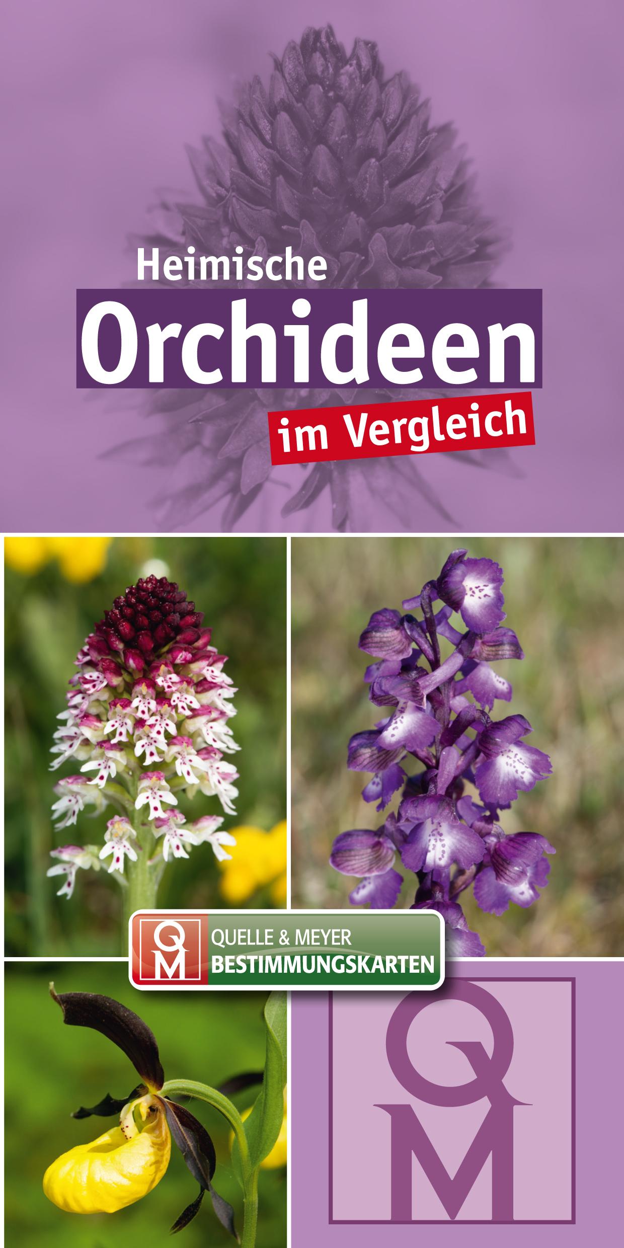 Cover: 9783494019277 | Heimische Orchideen im Vergleich - 10er-Set | Quelle &amp; Meyer Verlag